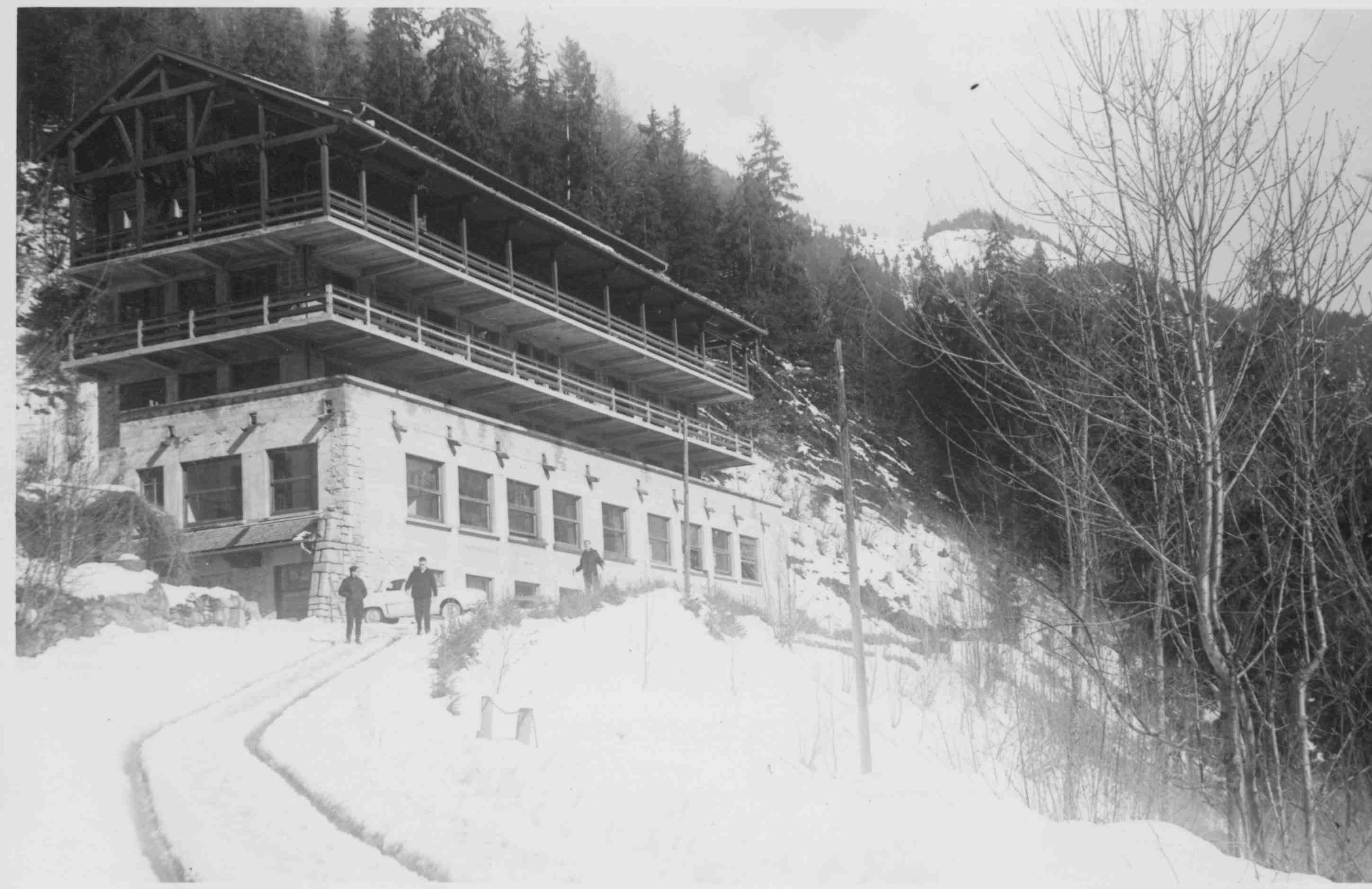 Les Campanules